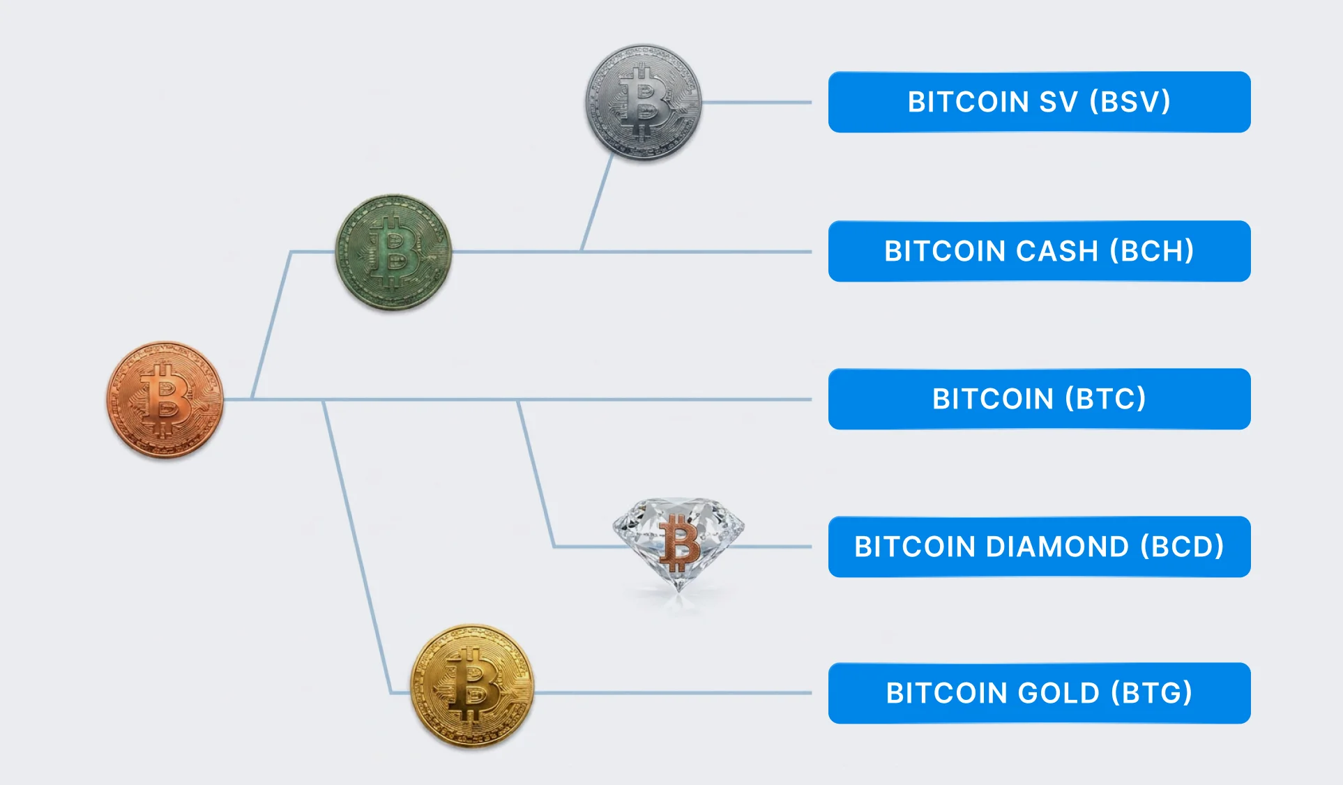 Наиболее известные и поддерживаемые майнерами хардфорки Bitcoin
