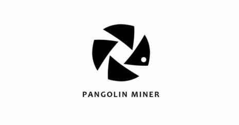 Компания Pangolin Miner выпустит осенью два ASIC-майнера: Whatsminer M10 для добычи биткойна и Whatsminer DCR для Decred